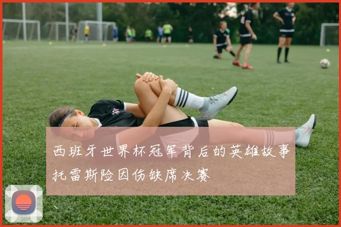 西班牙世界杯冠军背后的英雄故事托雷斯险因伤缺席决赛