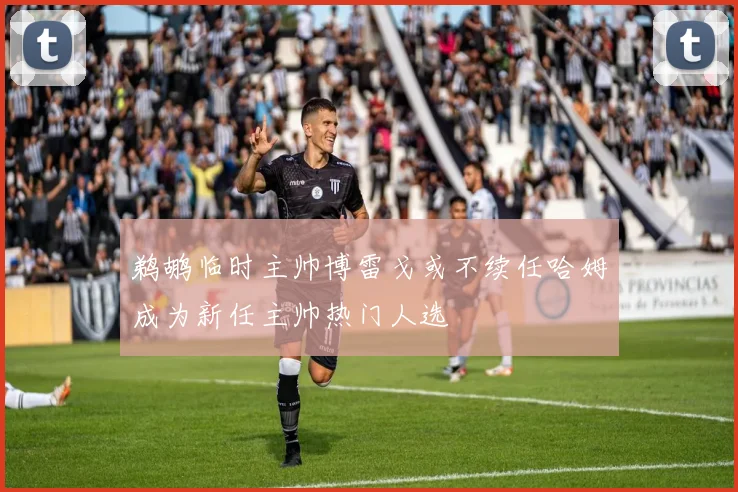鹈鹕临时主帅博雷戈或不续任哈姆成为新任主帅热门人选